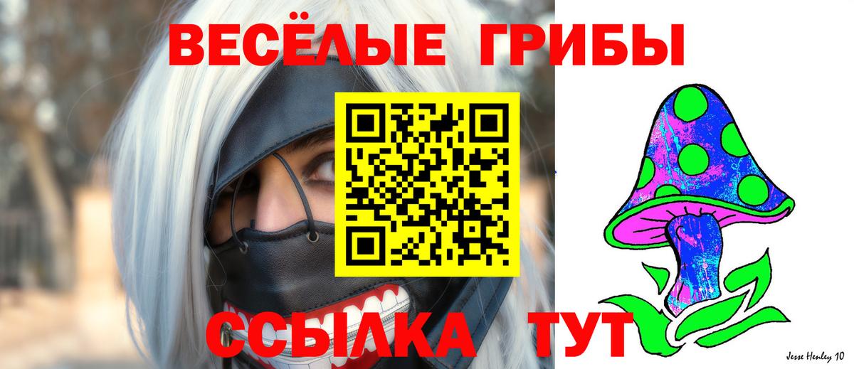 Псилоцибиновые грибы Psilocybine cubensis Северобайкальск