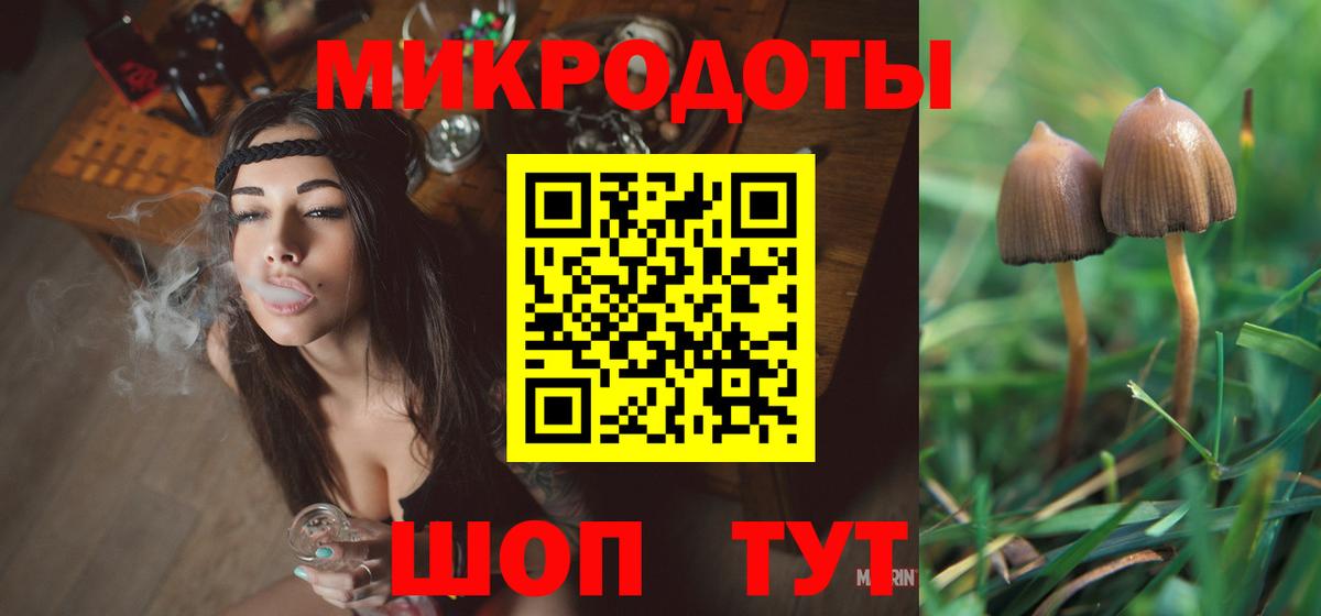 Галлюциногенные грибы прущие грибы  Галлюциногенные грибы Psilocybe  Вход с VPN  Северобайкальск 